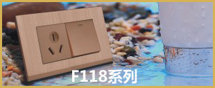 金色面板開關(guān)F118系列